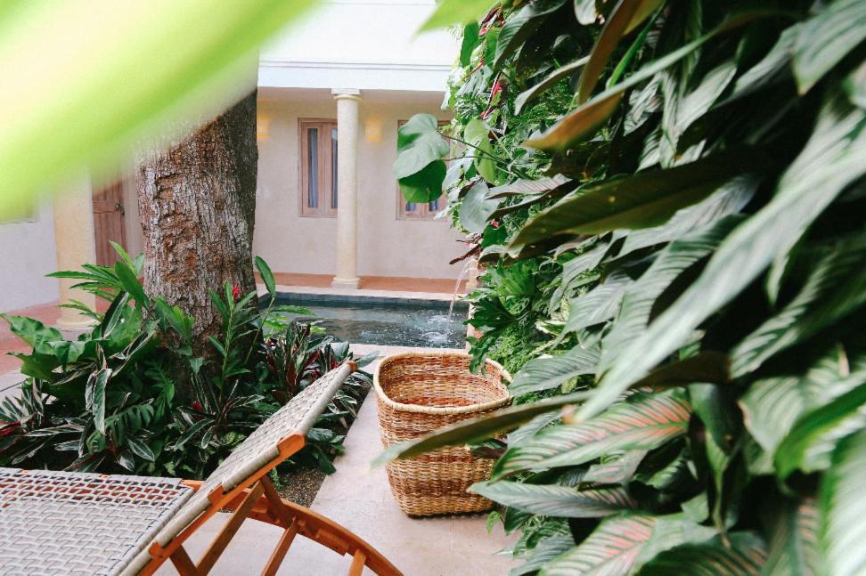 Casa Jaguar Hotel Boutique Cartagena Εξωτερικό φωτογραφία